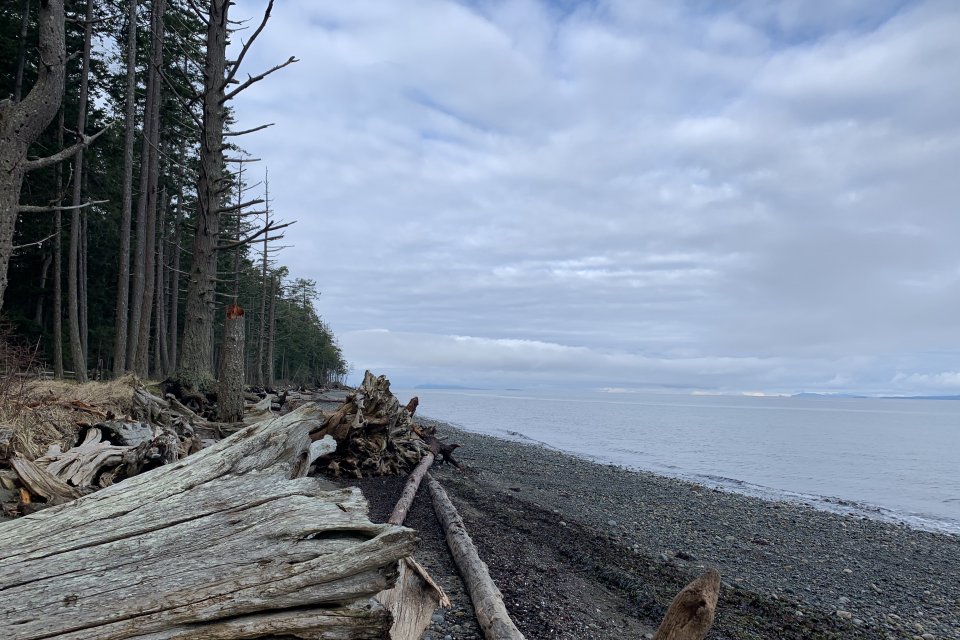 Shore in Parksville Qualicum Beach